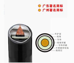 珠江南方一線電纜合金鎧裝中壓電力電纜